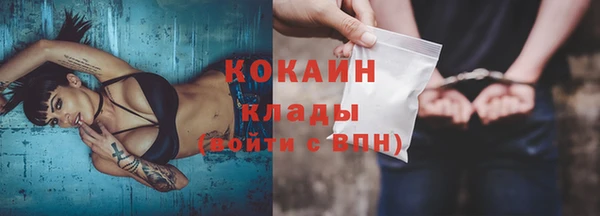 гашик Вязники
