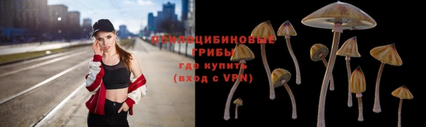 гашик Вязники